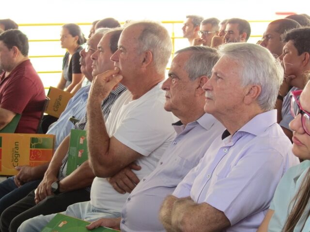 Imagem :