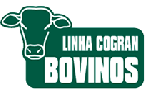 Imagem :