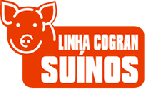 Imagem :